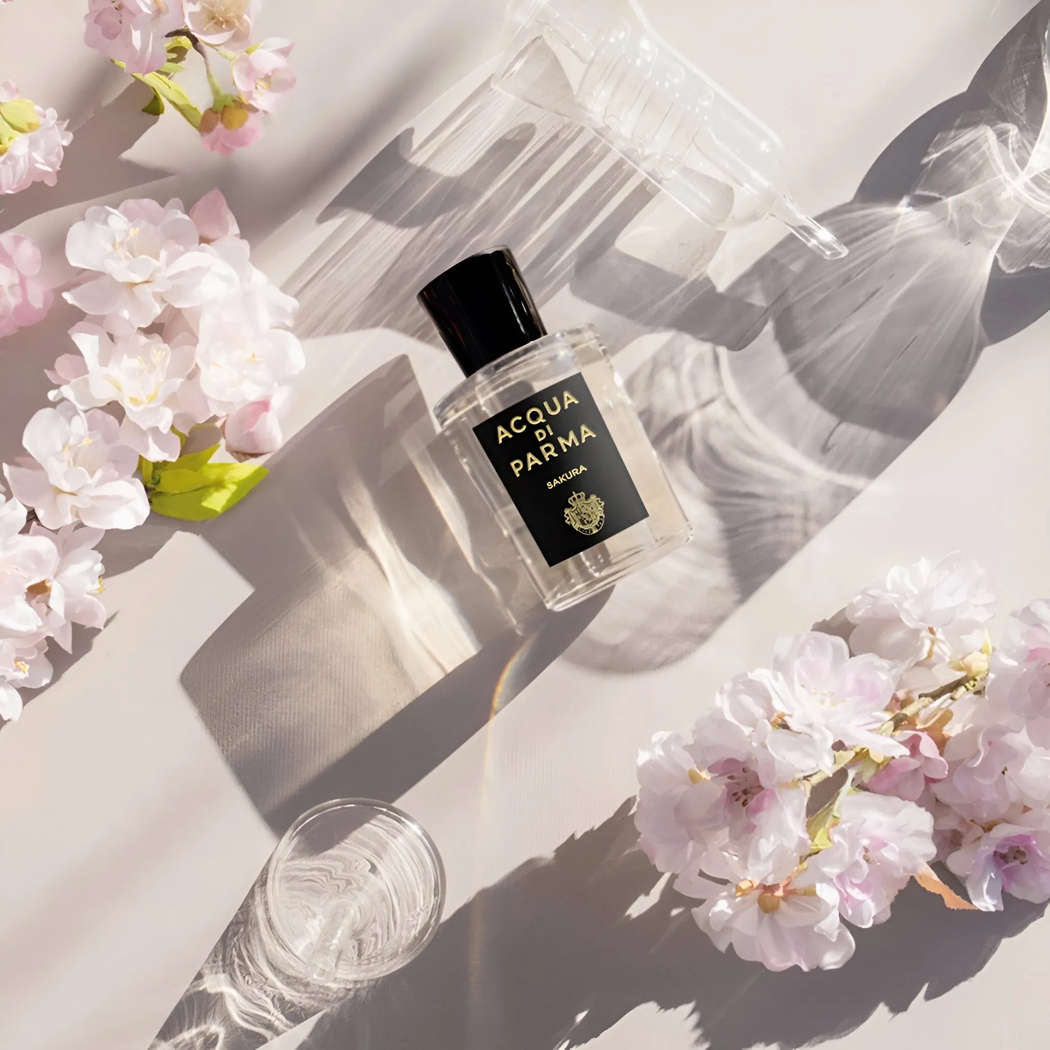 Acqua Di Parma Sakura EDP