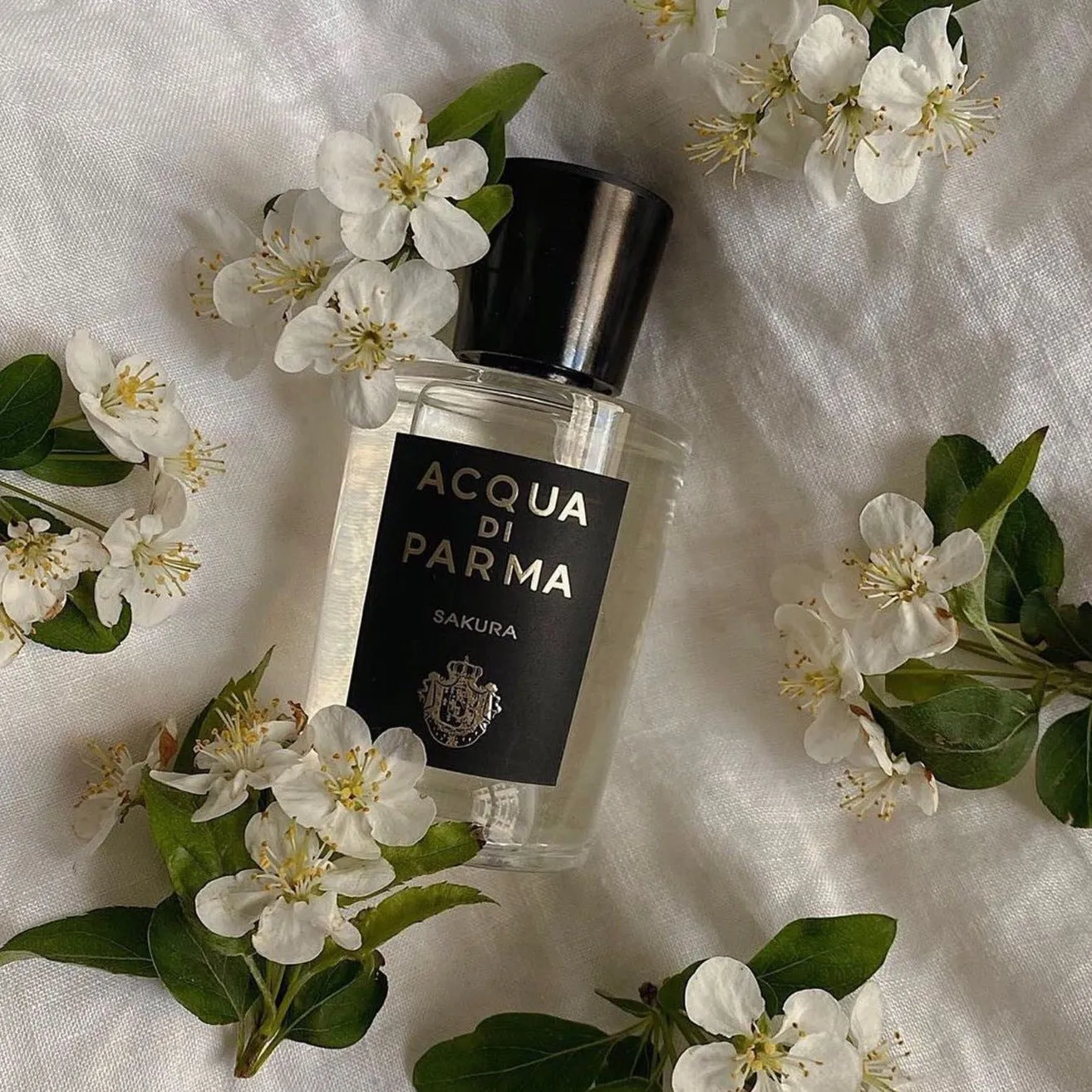 Acqua Di Parma Sakura EDP