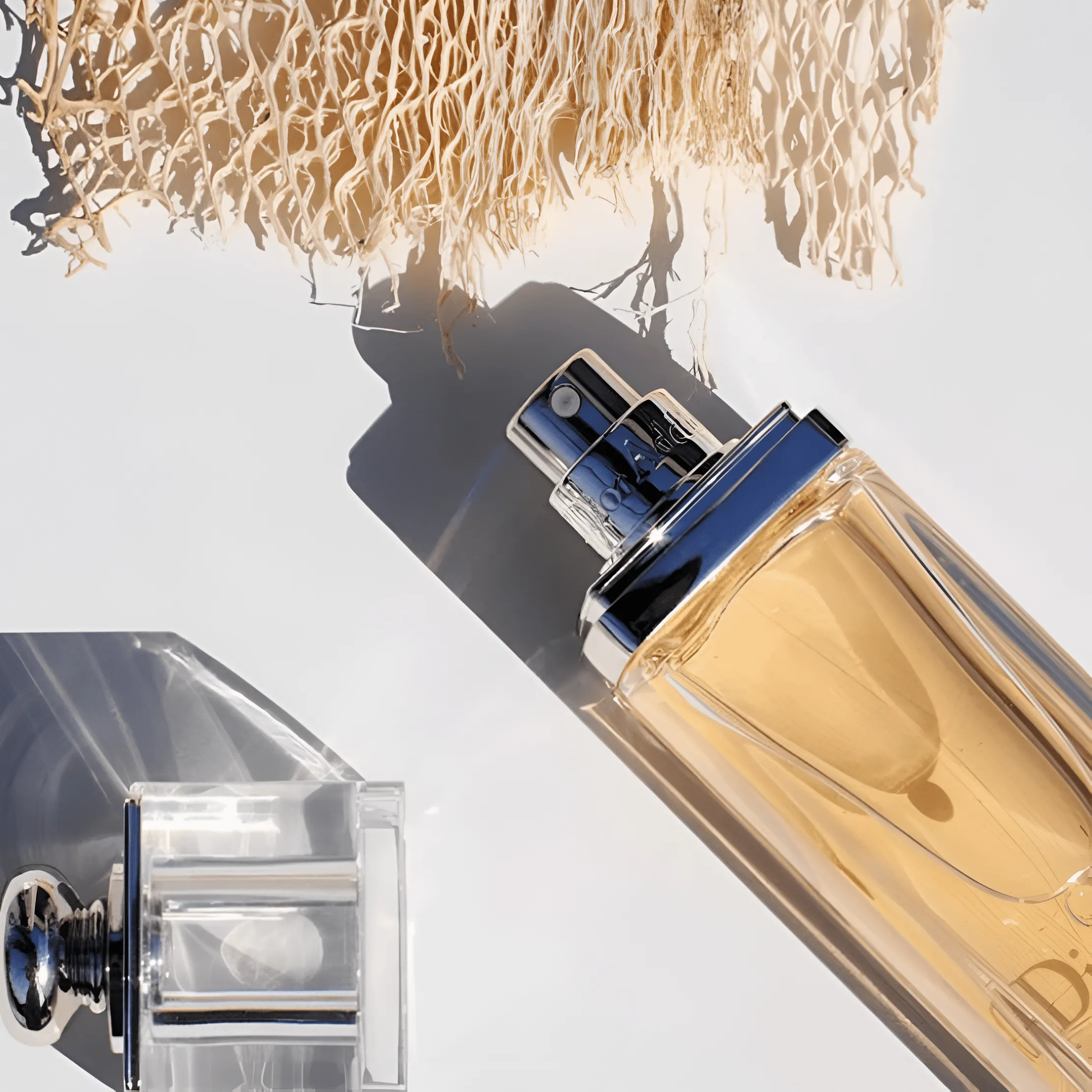 Dior Addict EDT For Women